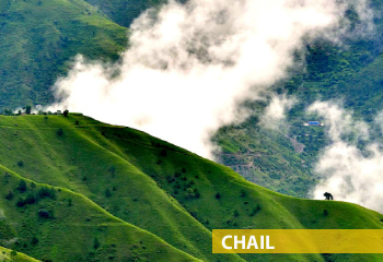 chail