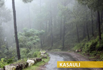 kasauli