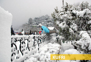 kufri