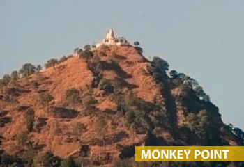 monkkey